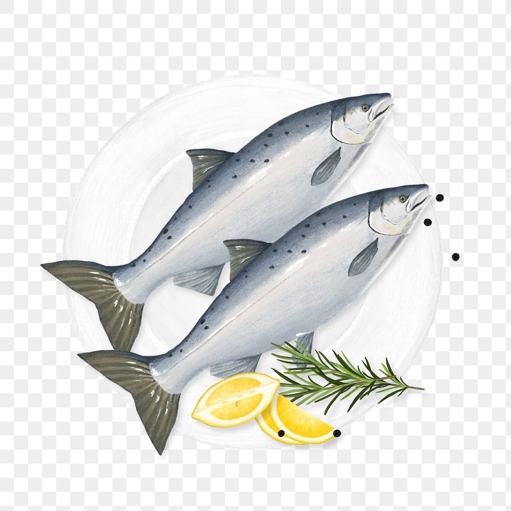 Salmon fish, seafood png illustration, editable design