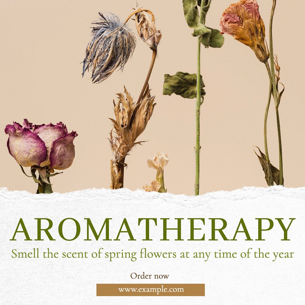 Aromatherapy shop Instagram post template, editable text