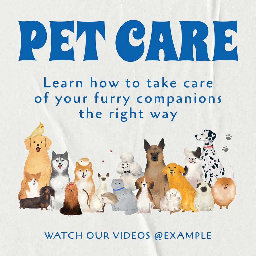 Pet care tutorials Instagram post template, editable text