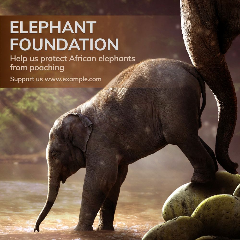 Elephant foundation Instagram post template, editable text