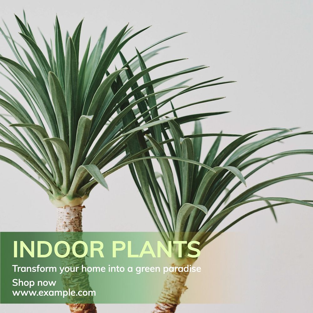 Indoor plants Instagram post template, editable text