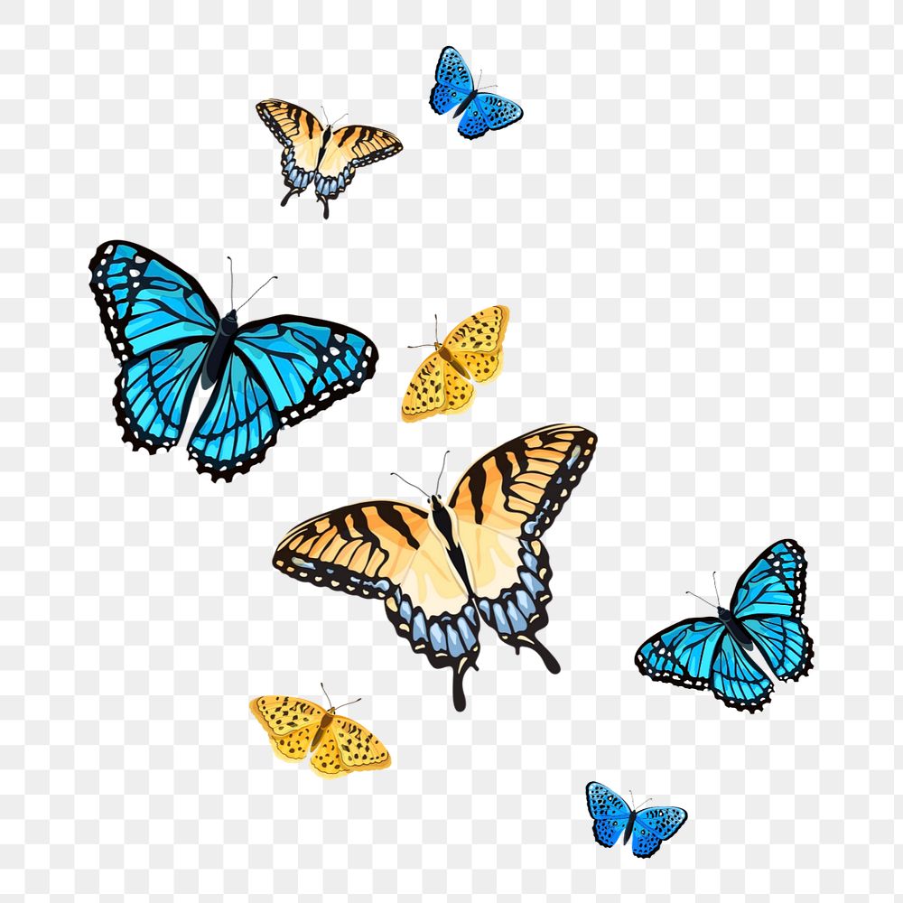 Editable butterfly png element, transparent background