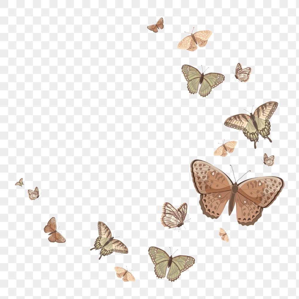 Editable butterfly semicircle frame png element, transparent background