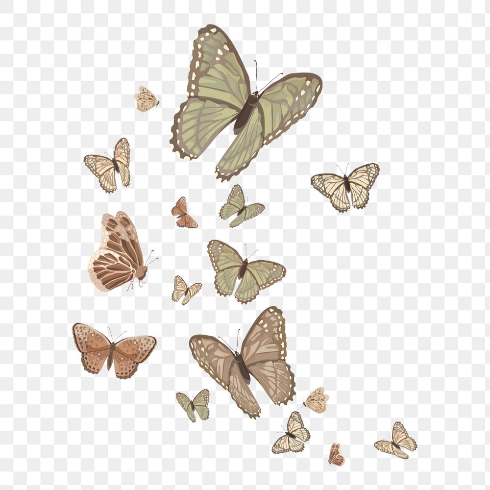 Editable butterfly nature png element, transparent background