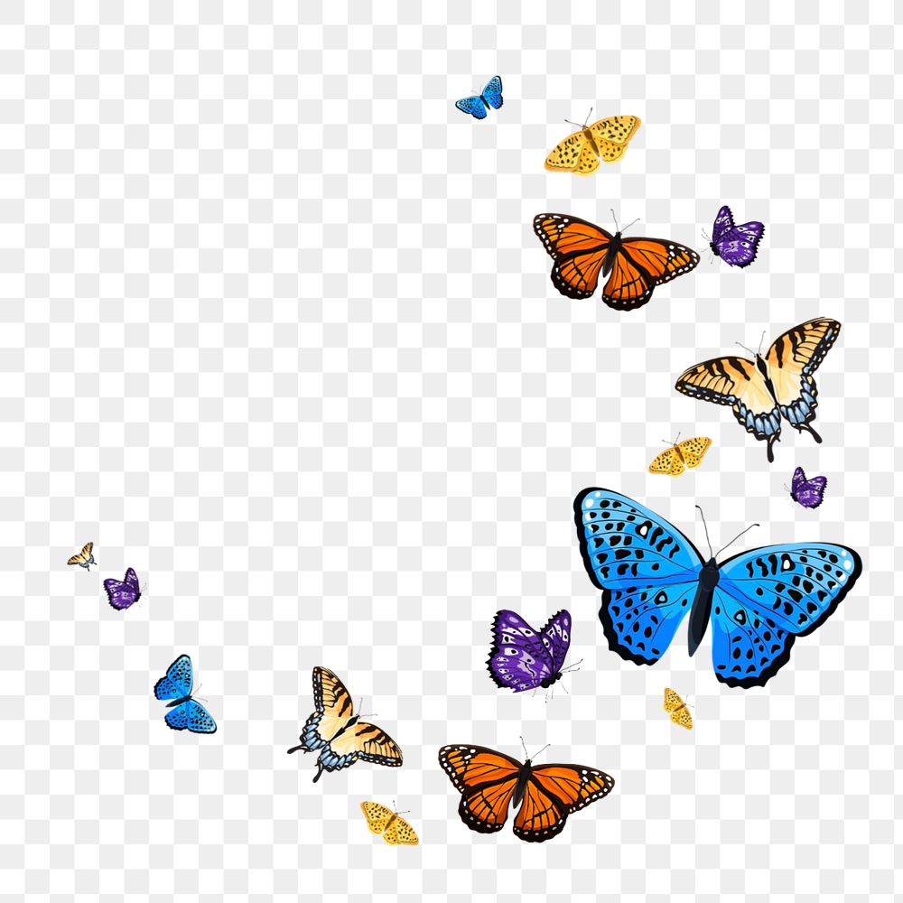 Editable butterfly semicircle frame png element, transparent background