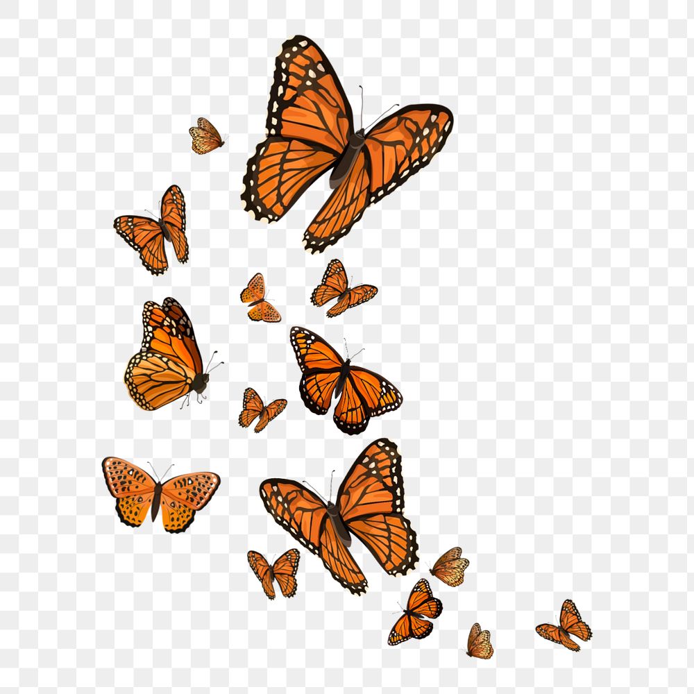 Editable orange butterfly png element, transparent background