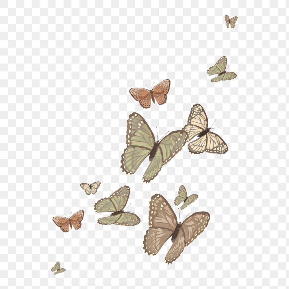 Editable butterfly png element, transparent background