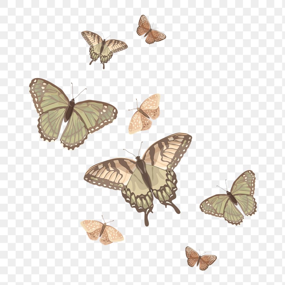 Editable butterfly png element, transparent background