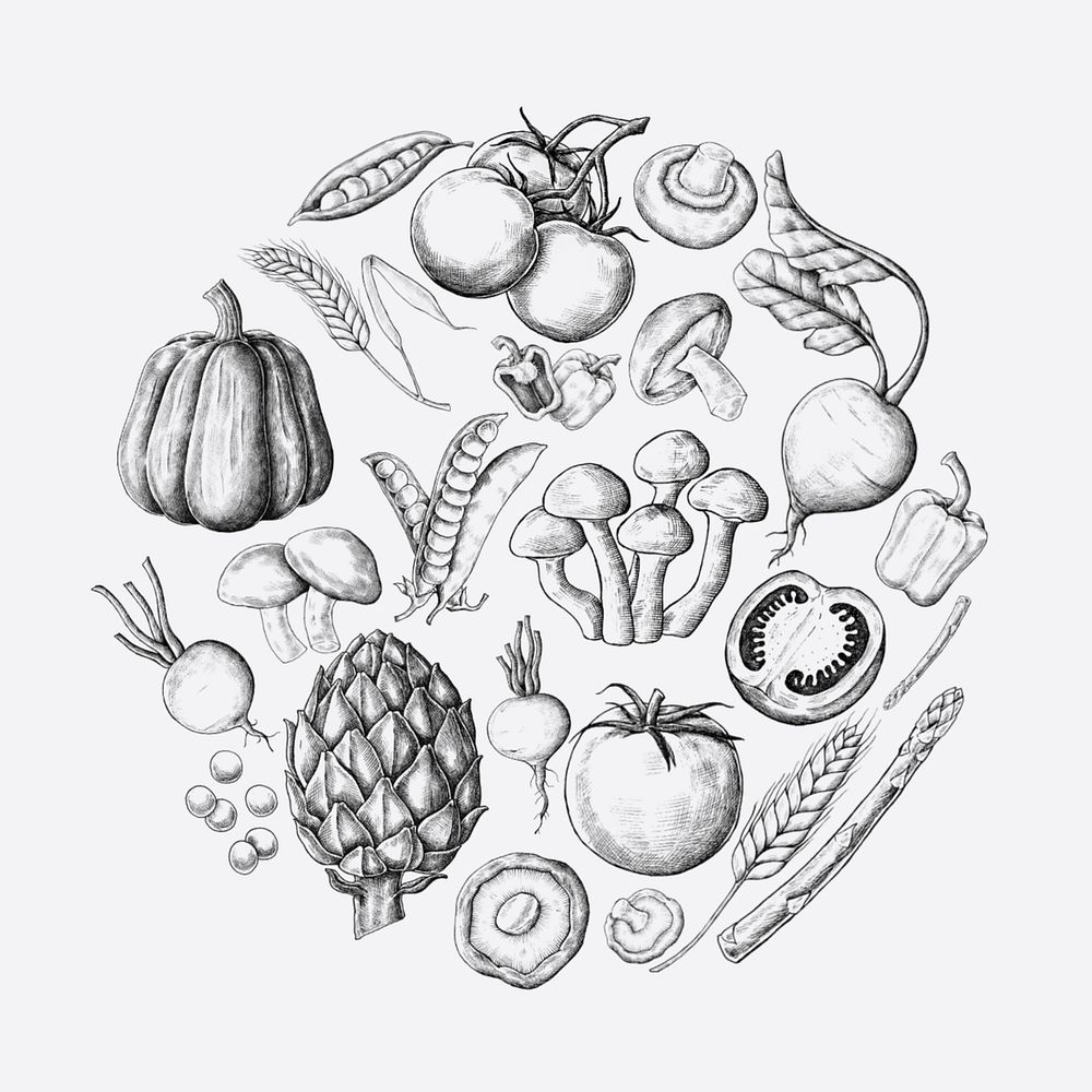 Mixed vintage vegetable illustration on white, editable design