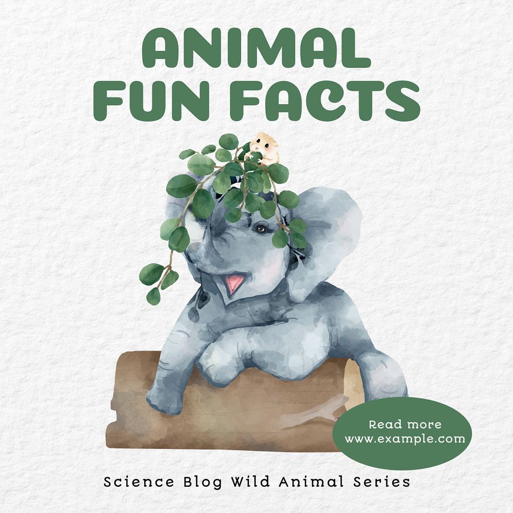 Animal fun facts Instagram post template, editable text