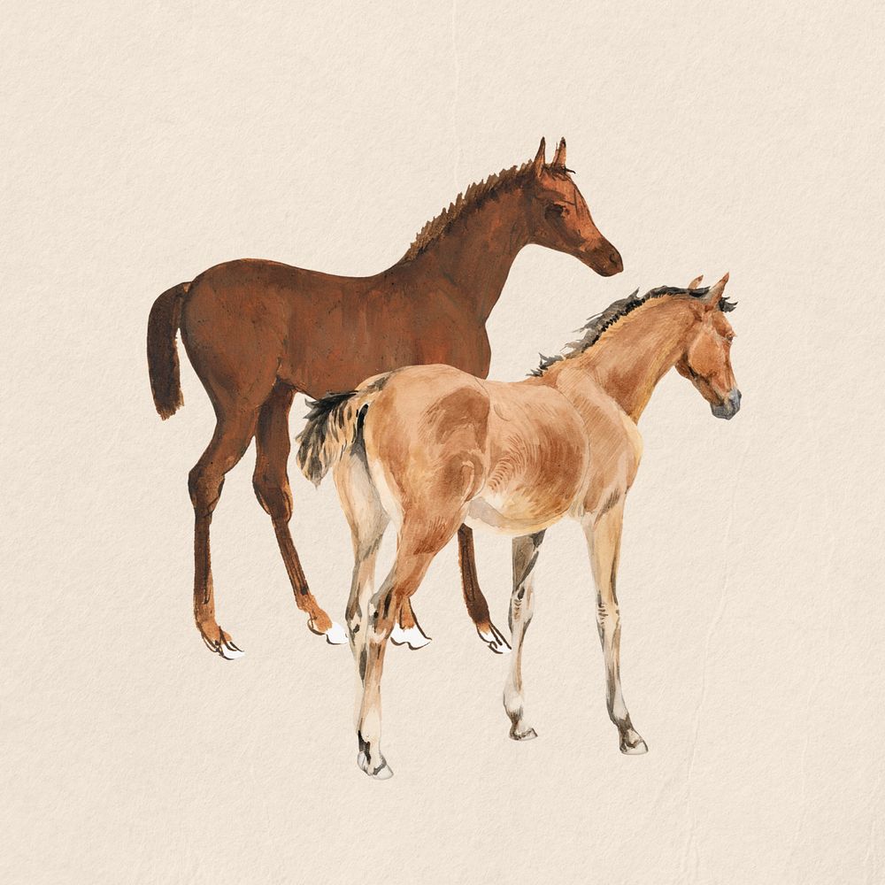 Watercolor horse foals, editable remix design