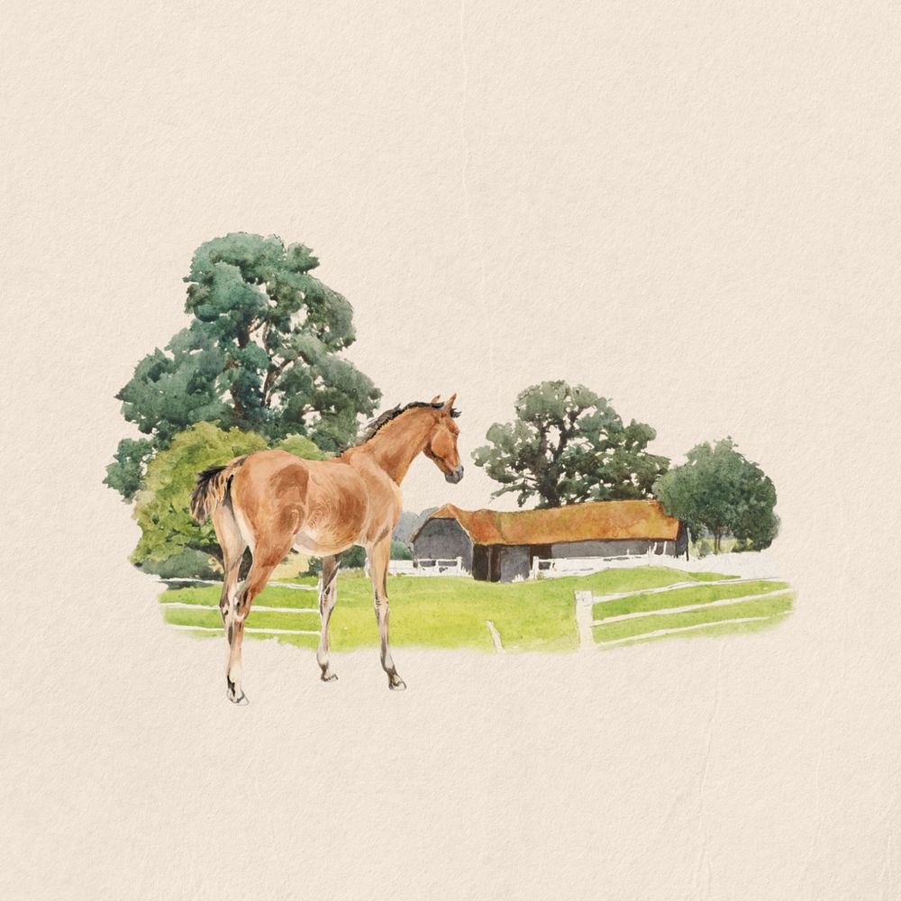 Horse watercolor, editable remix design