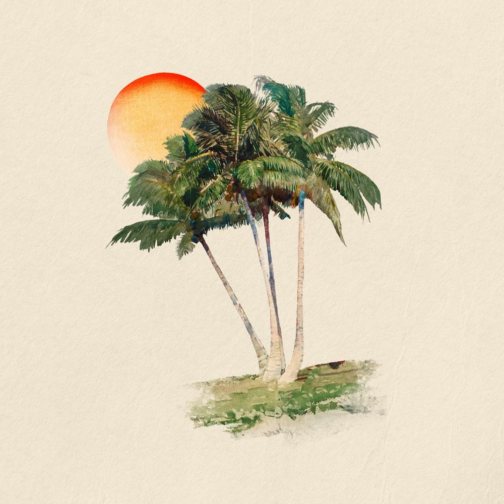 Watercolor coconut tree, editable remix design