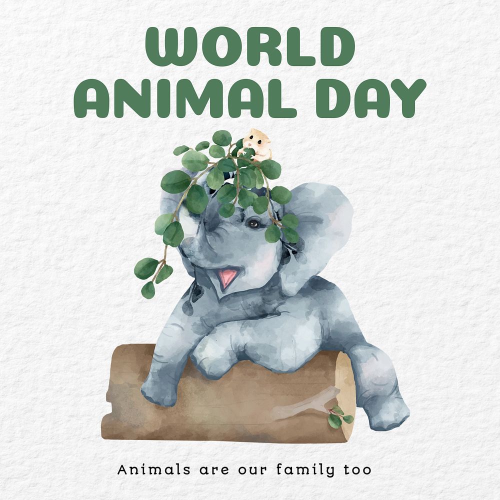 World animal day Instagram post template, editable text