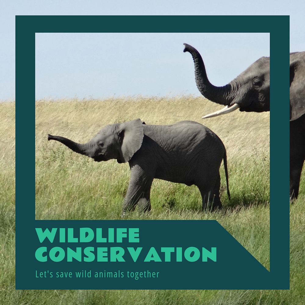 Wildlife conservation Instagram post template, editable text