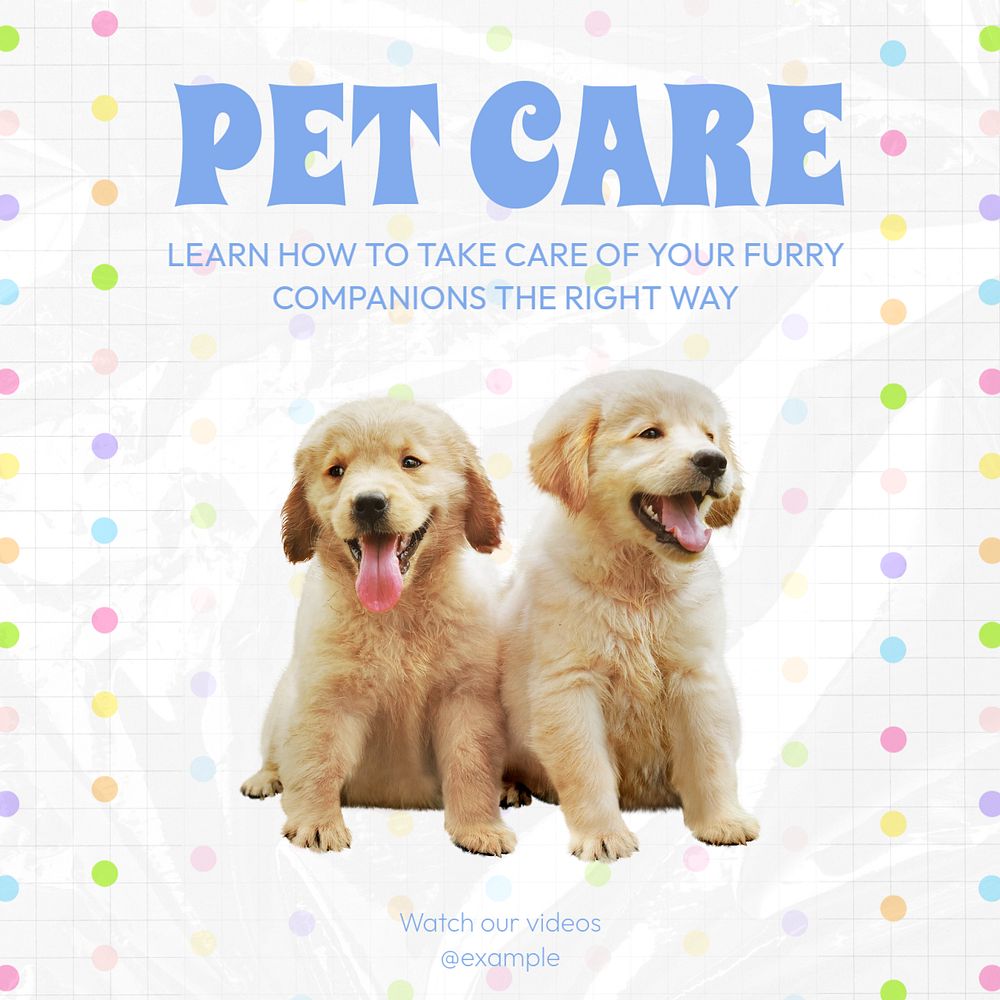 Pet care tutorials post template, editable social media design