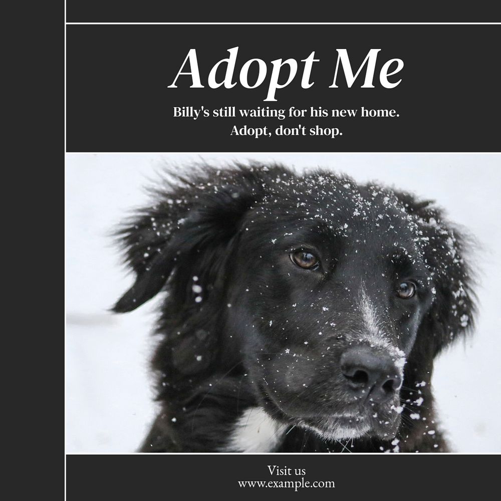 Adopt don't shop post template, editable social media design