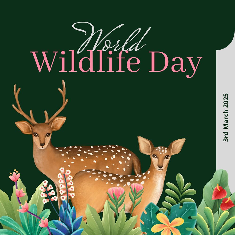 World wildlife day Instagram post template, editable text