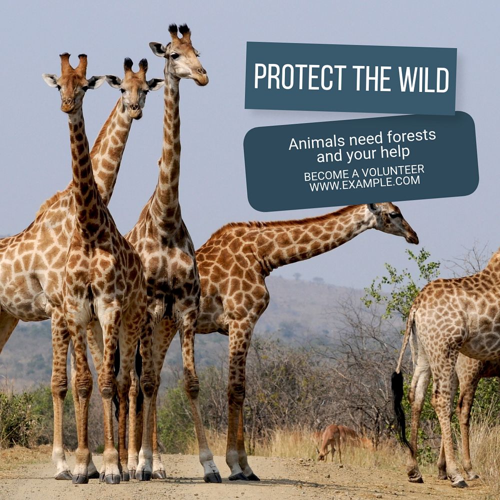 Protect the wild  Instagram post template, editable text