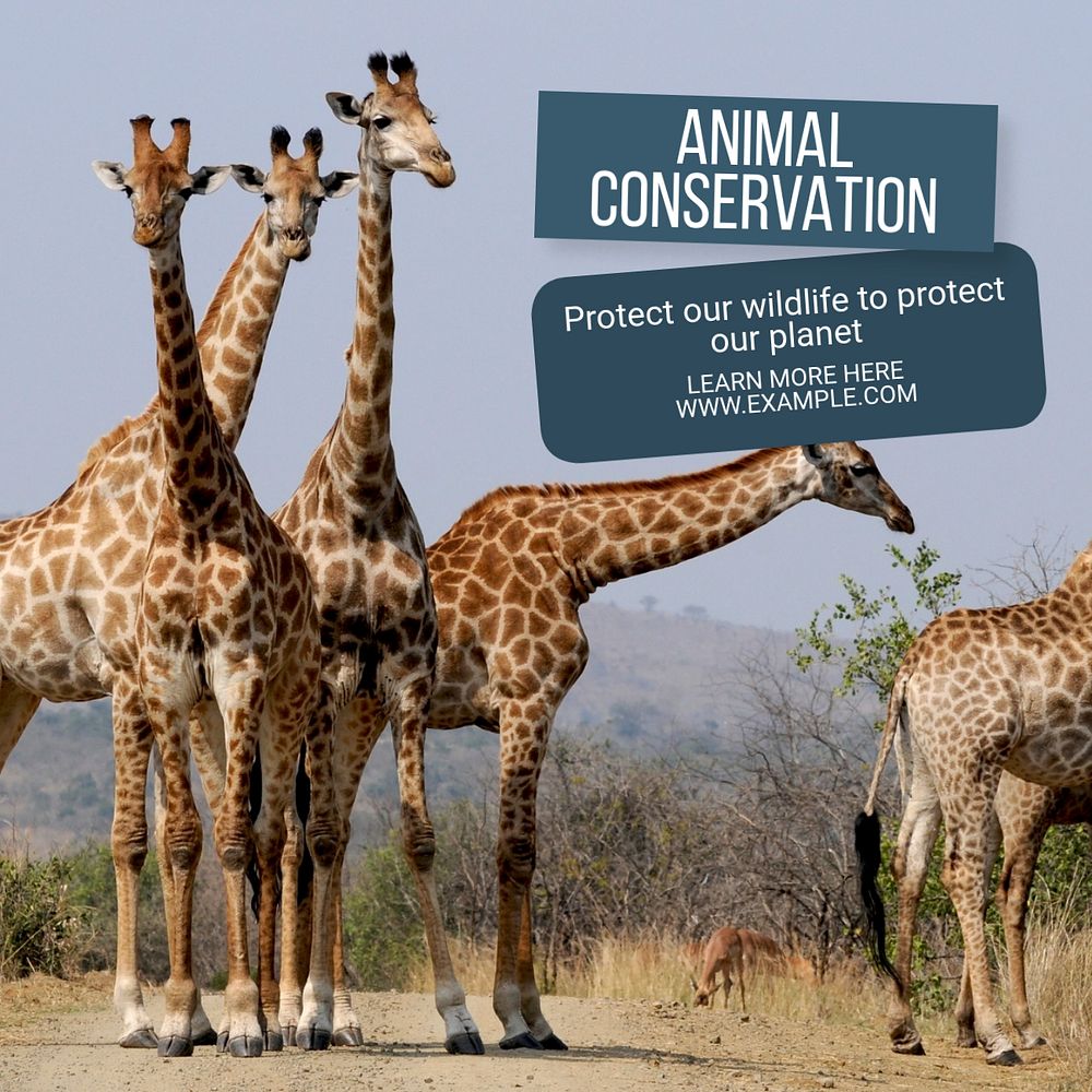 Animal conservation  Instagram post template, editable text