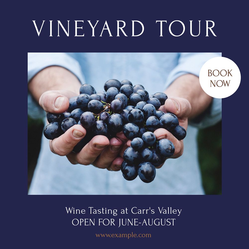 Vineyard tour Instagram post template, editable text