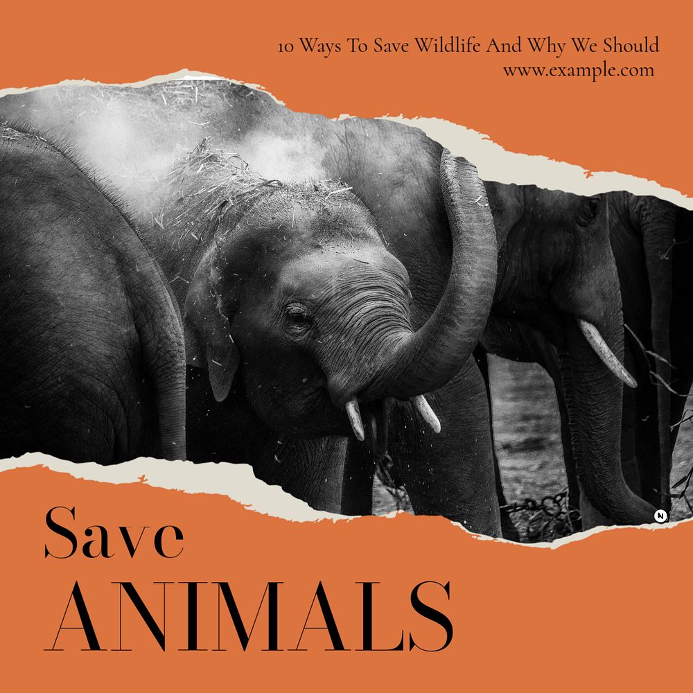 Save animals Instagram post template, editable text