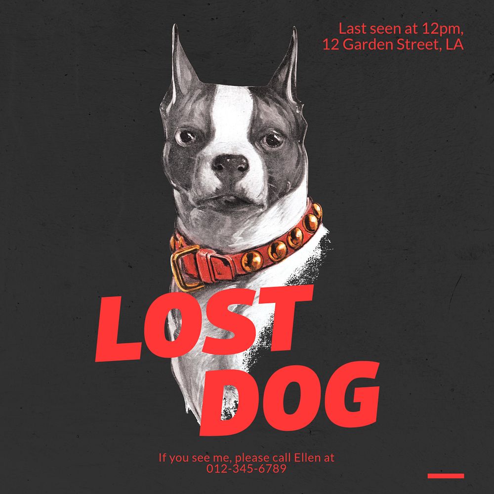 Lost dog  Instagram post template, editable text