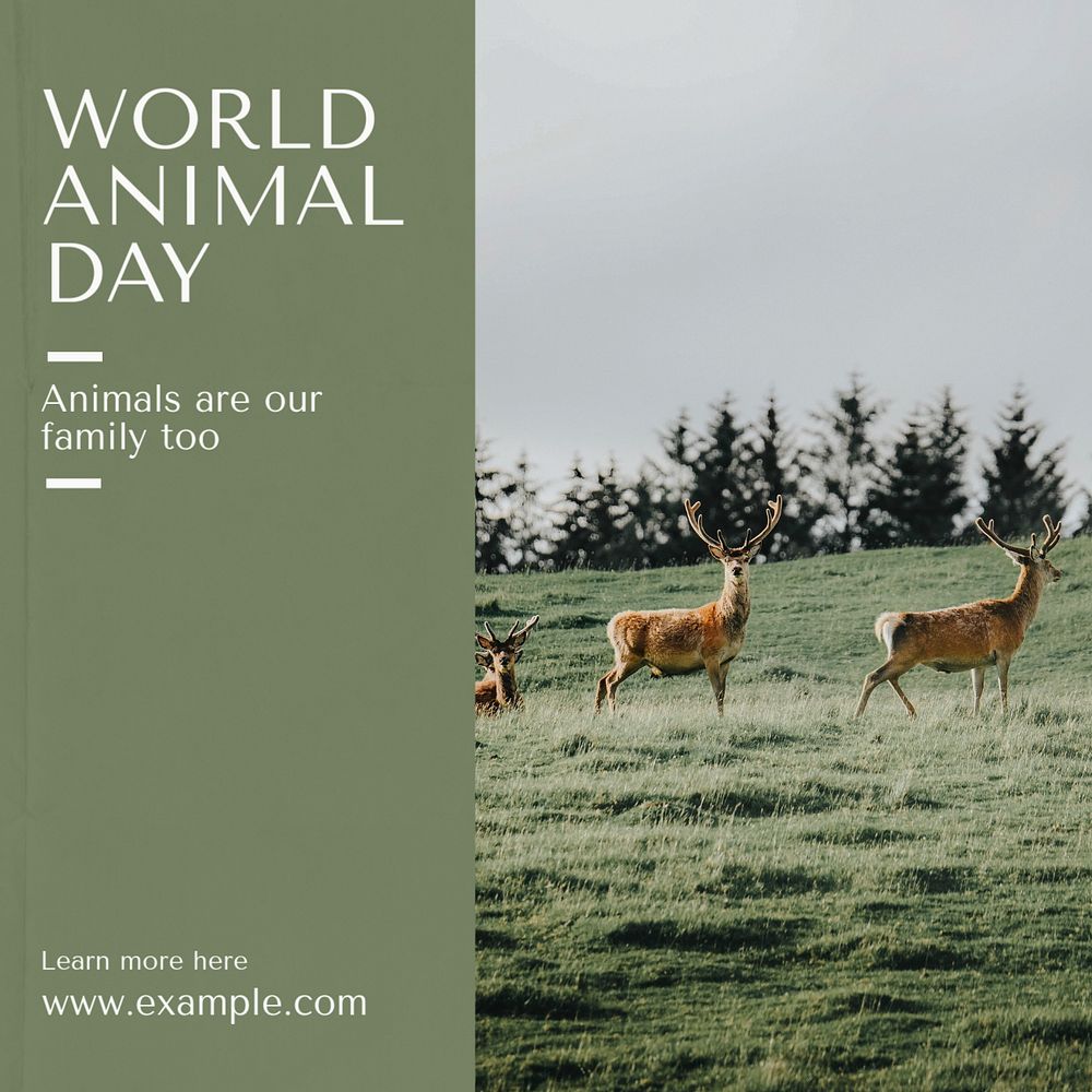 World animal day  Instagram post template, editable text