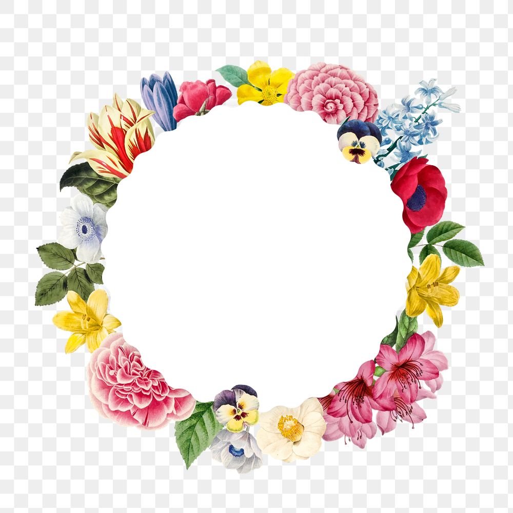 Editable floral round frame png element, botanical illustration design