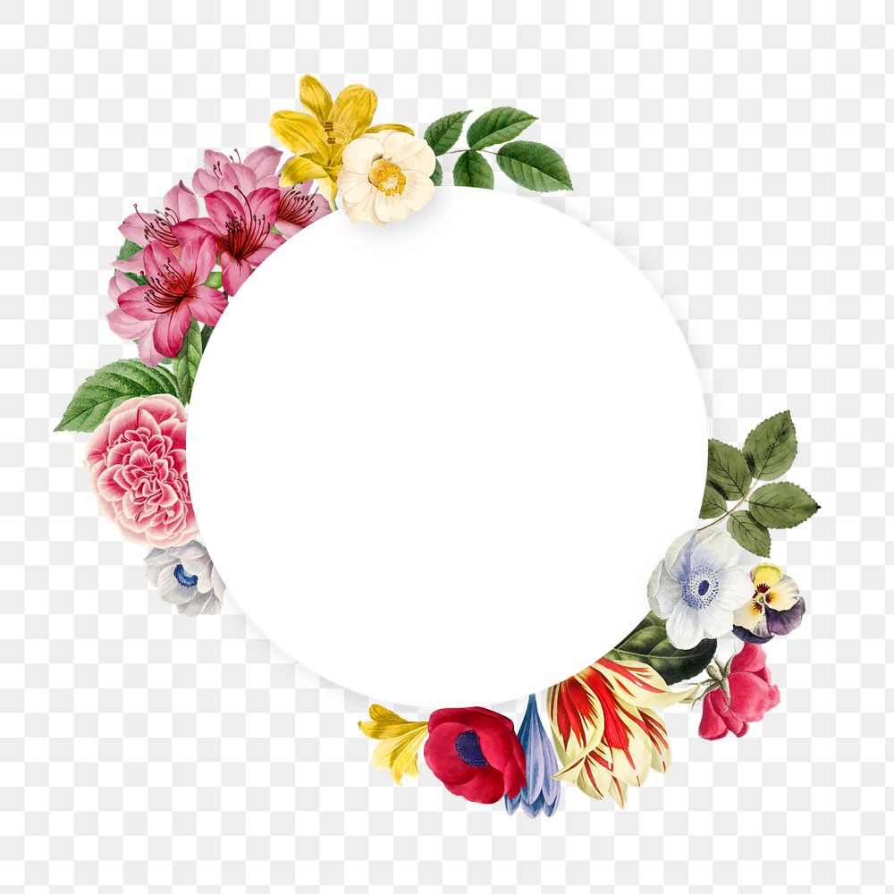 Floral round frame png element, editable botanical illustration design