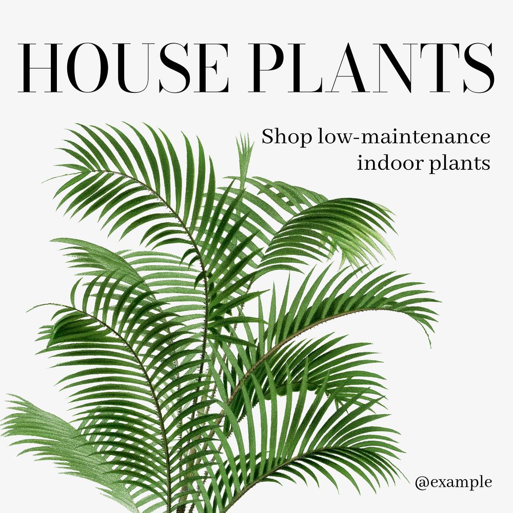 House plants  Instagram post template, editable text