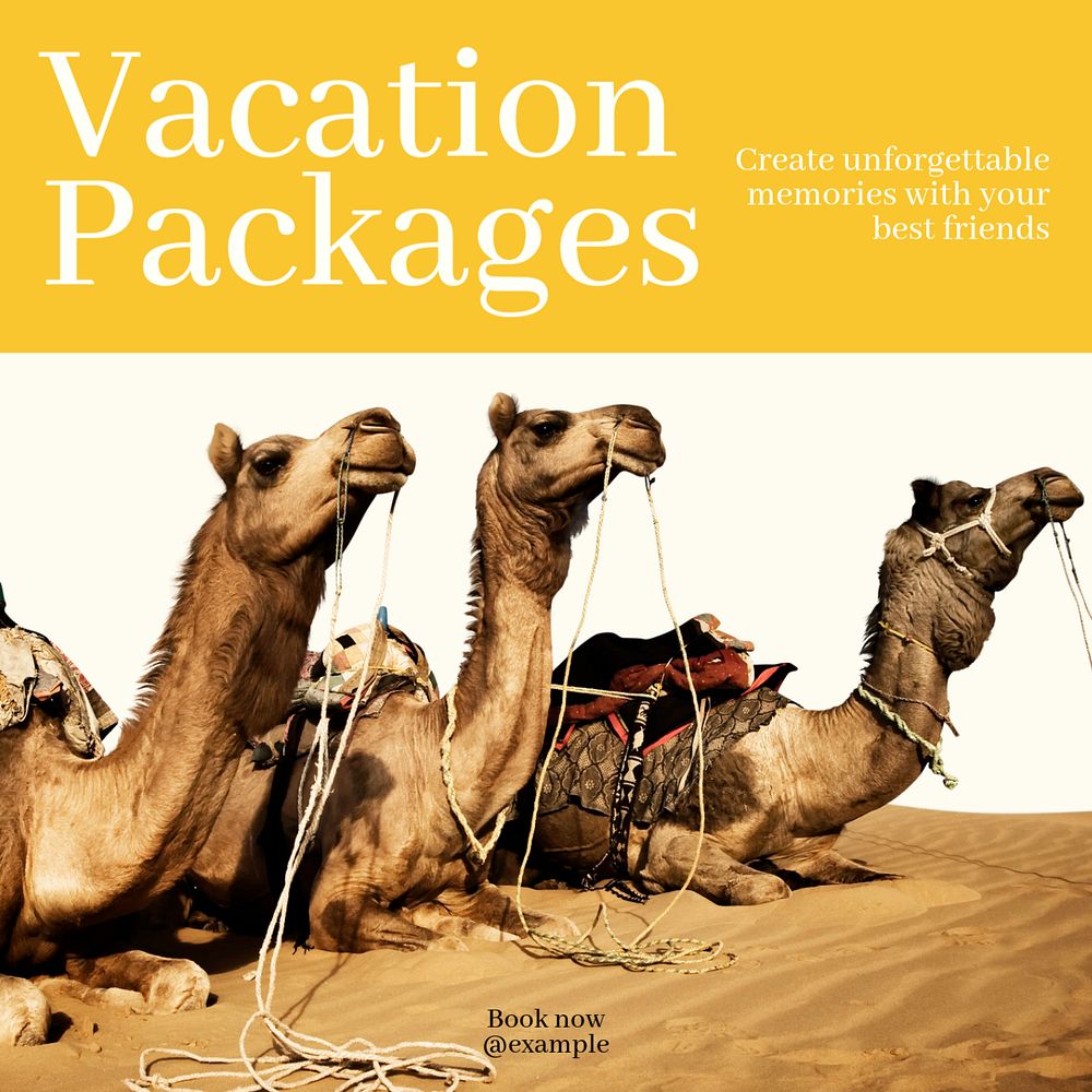 Vacation packages Instagram post template, editable text