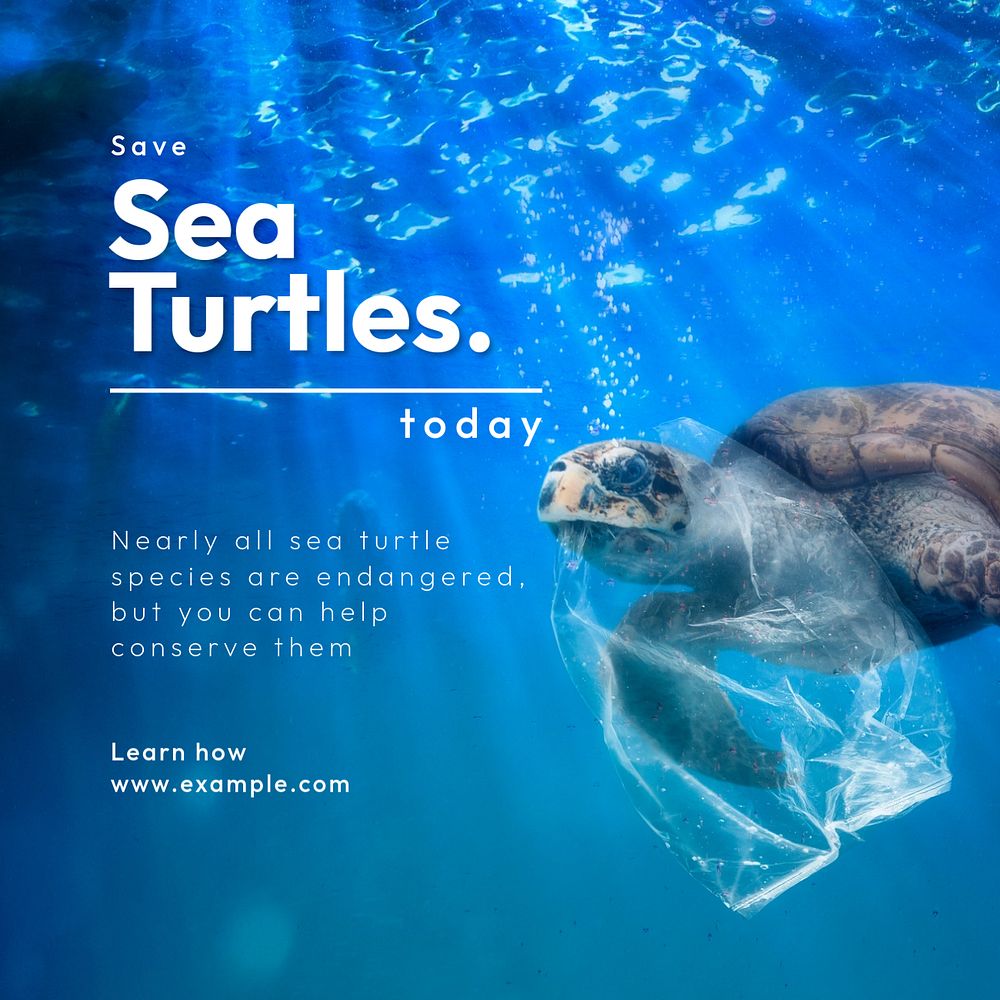 Save sea turtles Instagram post template, editable text