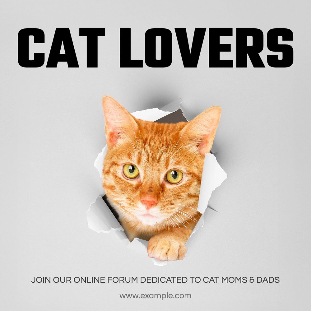 Cat lover Instagram post template, editable text