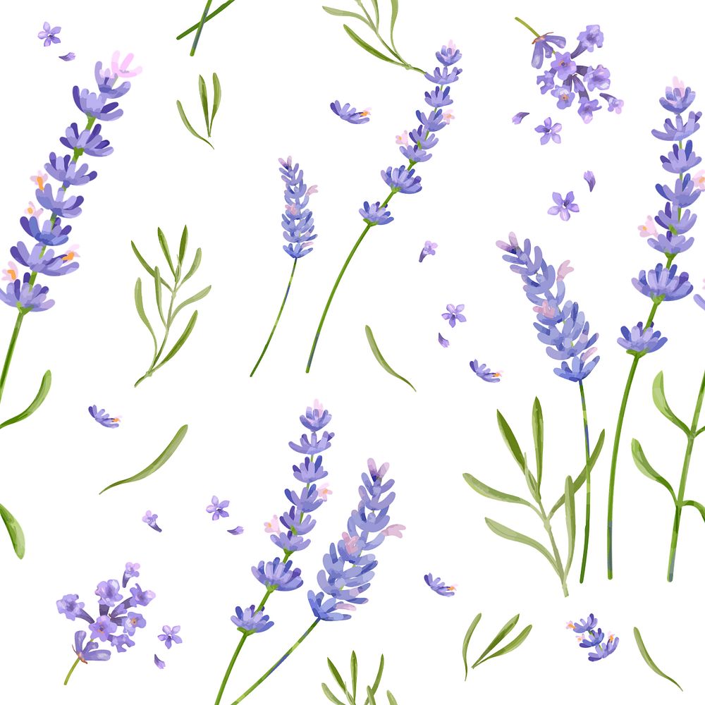 Lavender pattern, editable watercolor flower design