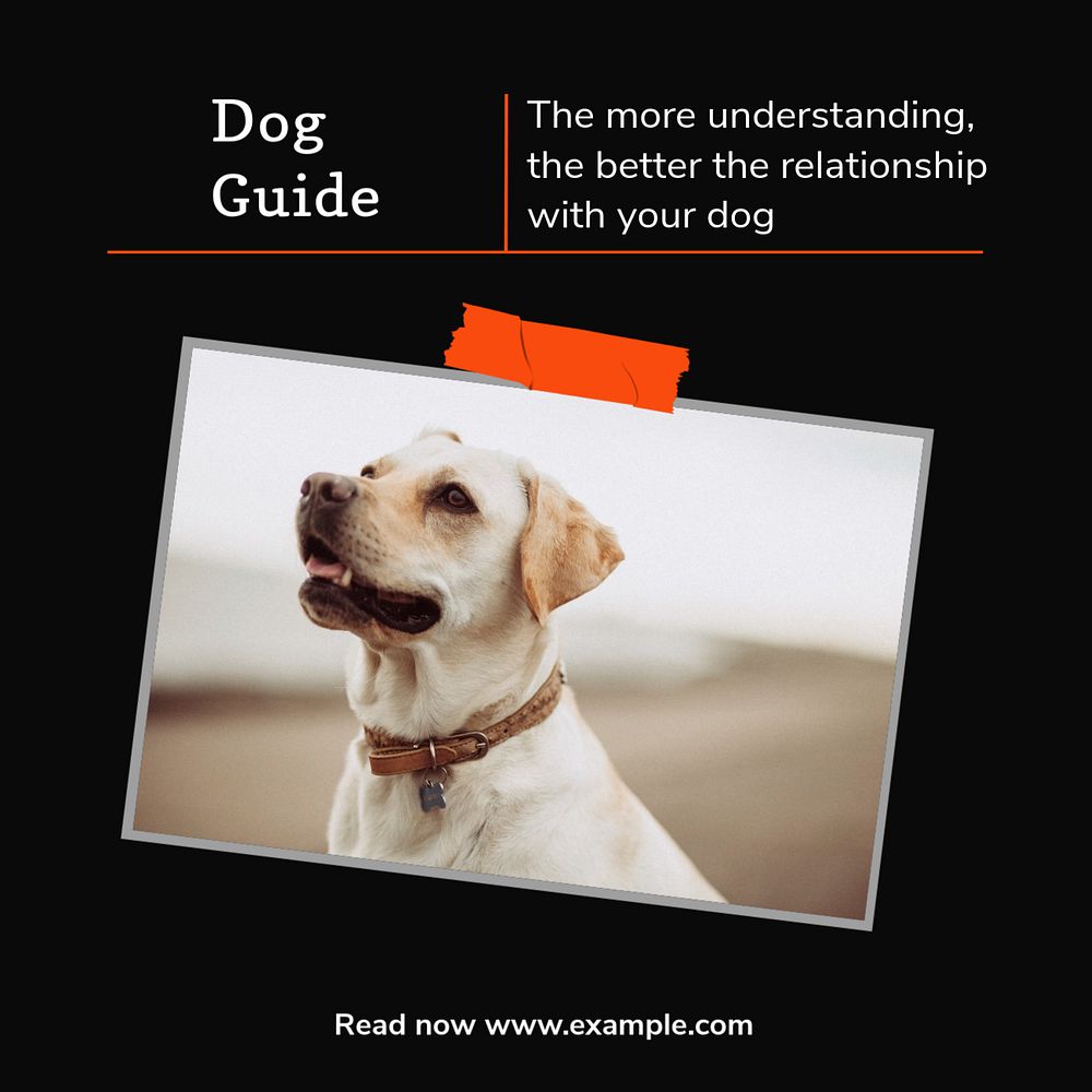 Dog guide  Instagram post template, editable text