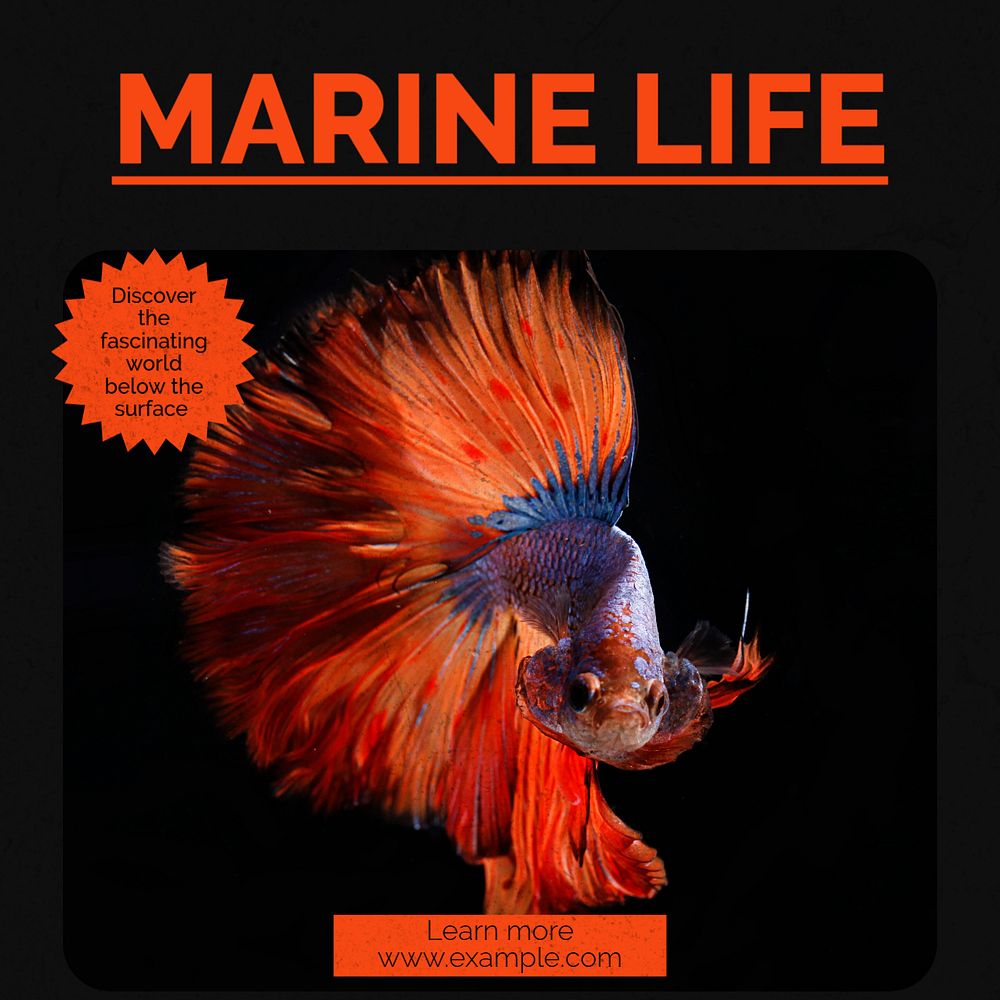 Marine life  Instagram post template, editable text