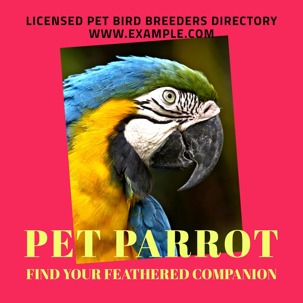 Pet parrot Instagram post template, editable text