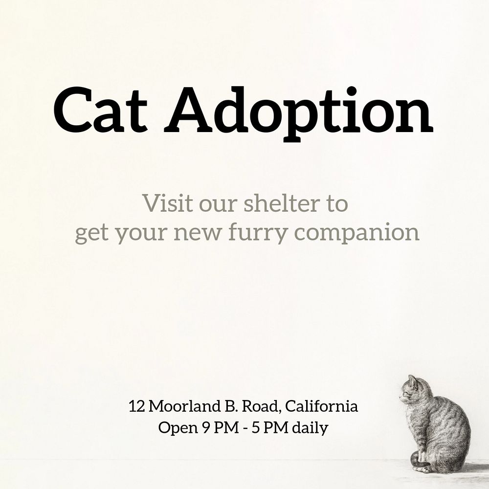 Cat adoption Instagram post template, editable text