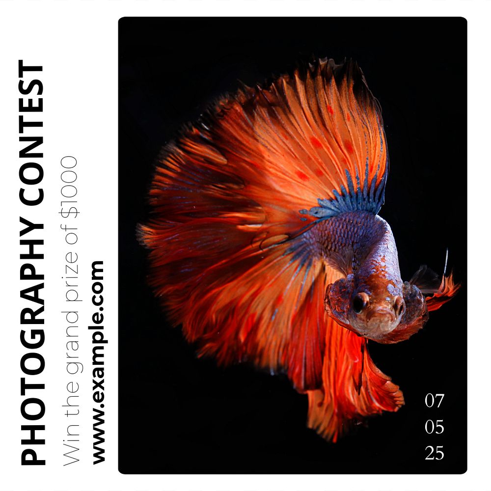 Photo contest Instagram post template, editable text