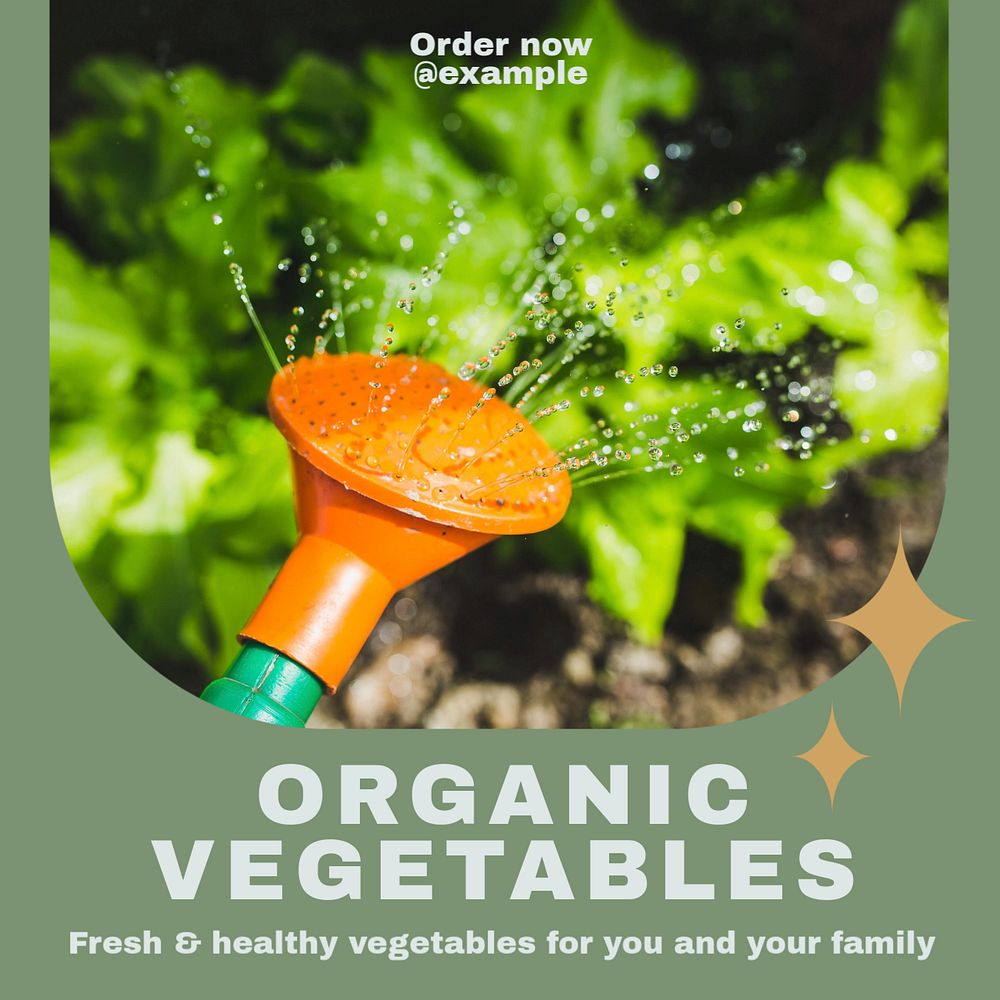 Organic vegetables Instagram post template, editable text