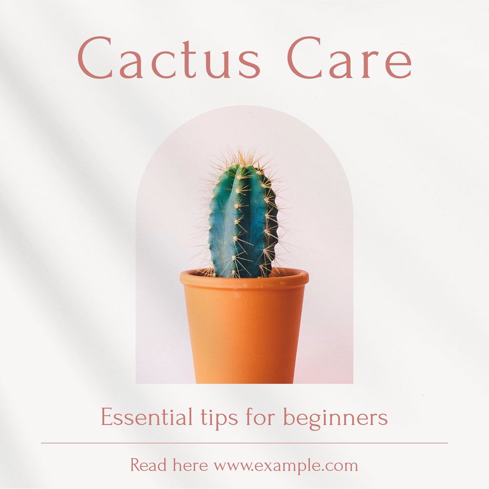 Cactus care Instagram post template, editable text