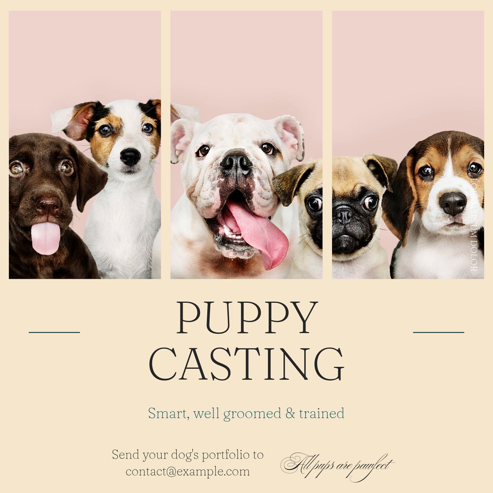 Puppy casting Instagram post template, editable text