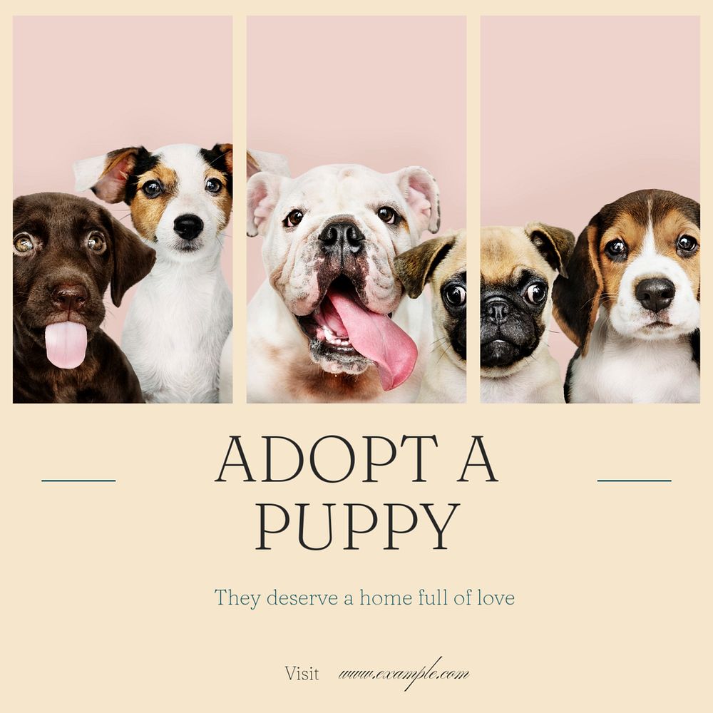 Adopt Puppy Instagram post template, editable text