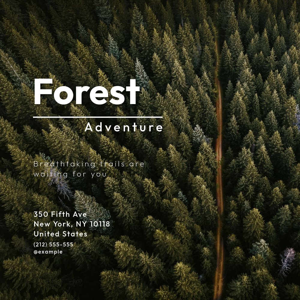 Forest adventure