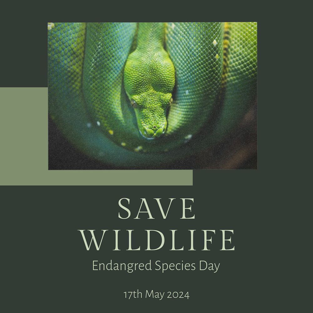 Save wildlife Instagram post template, editable text