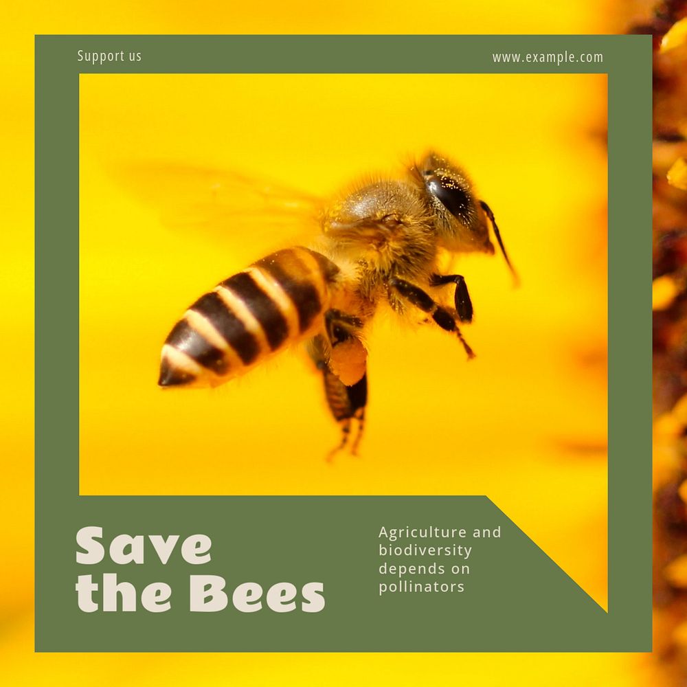 Save the Bees Instagram post template, editable text