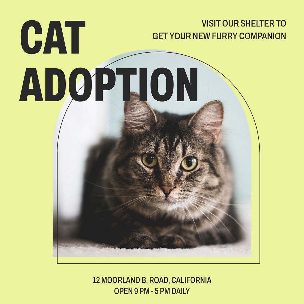 Cat adoption Instagram post template, editable text