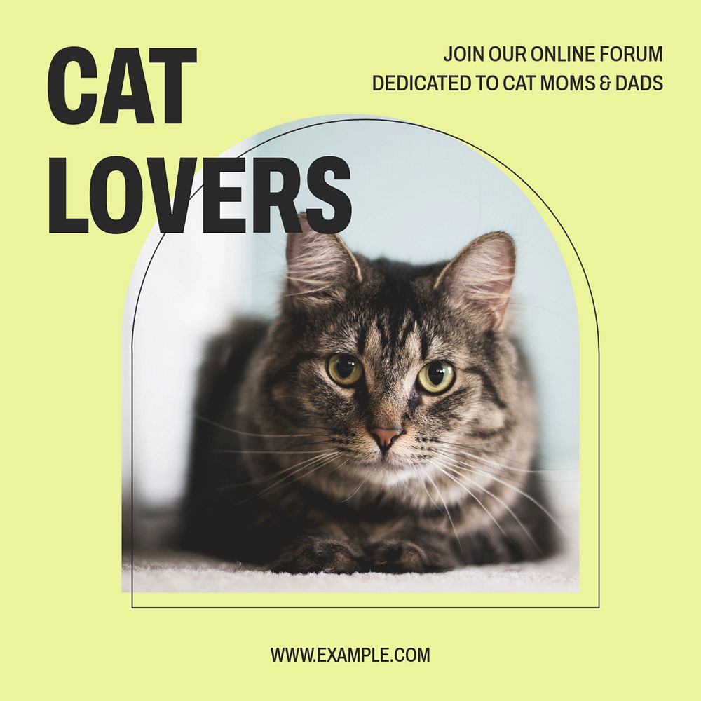 Cat lover Instagram post template, editable text