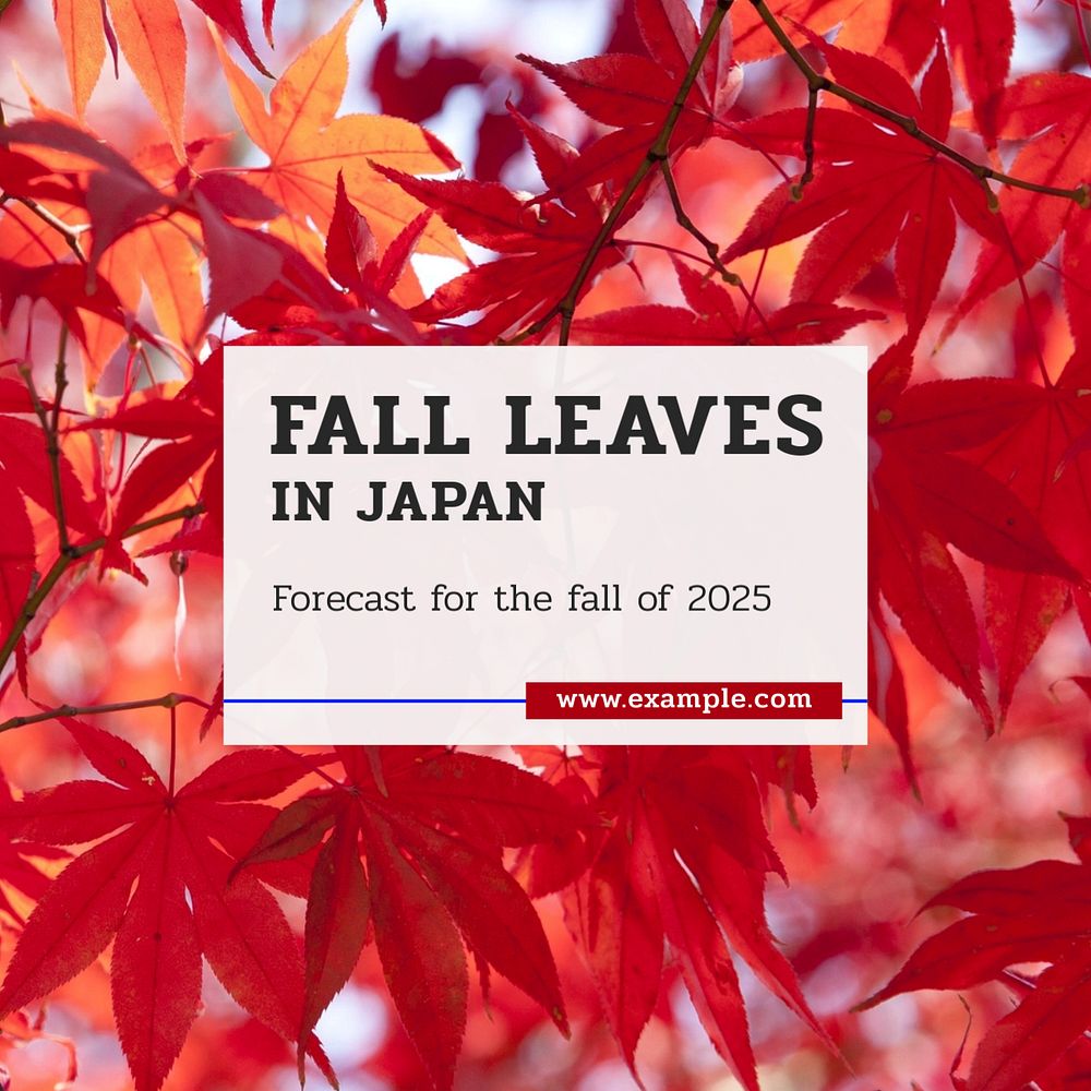 Japan fall leaves Instagram post template, editable text